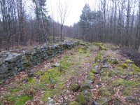 6  Saverne LE WASSERWALD 05 03 2017 31